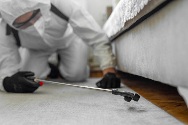 Professional Bed Bug Control technician working in Crest View Heights, NY