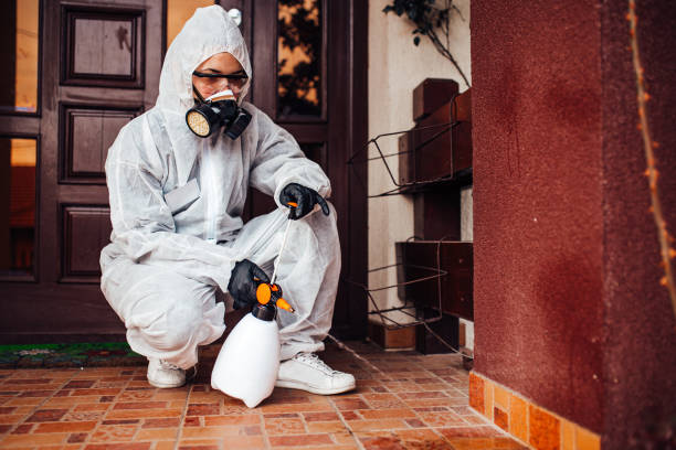 Reliable Bed Bug Control contractor in Crest View Heights, NY by Nex Pest Control