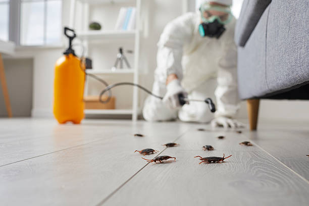 Trusted Cockroach Control service in Crest View Heights, NY - Nex Pest Control