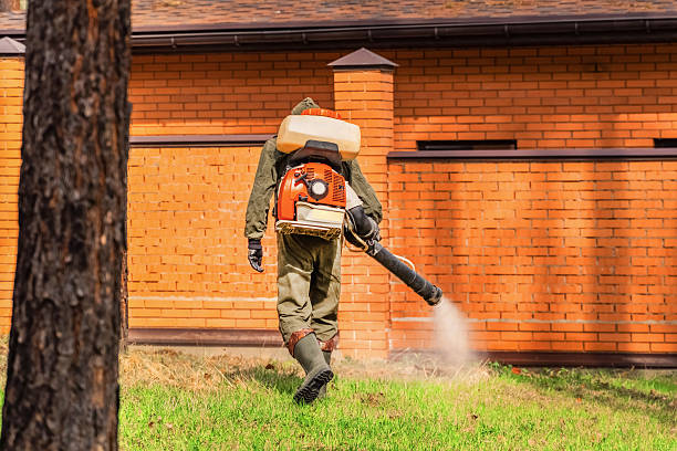 Trusted Bed Bug Control service in Crest View Heights, NY - Nex Pest Control